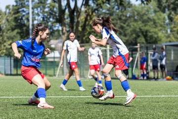 Bild 351 - wCJ Hamburger SV - FC Rosengarten : Ergebnis: 1:1